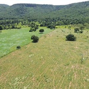 Fazenda à venda em Porto Nacional-To