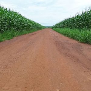 Fazenda à venda no Tocantis