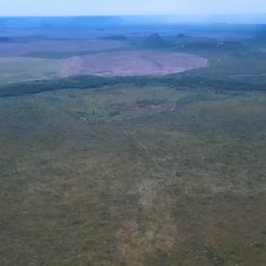 Fazenda de 390 alqueires a venda em Dianópolis-TO