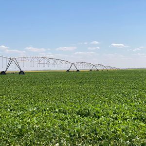 Fazenda Indústria em Cristalina-Go