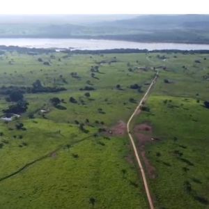 Fazenda de 410 alqueires as margens do Rio Araguaia