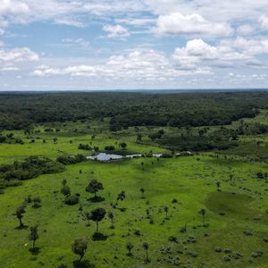 Fazenda de Terra de Cultura em Miracema-To