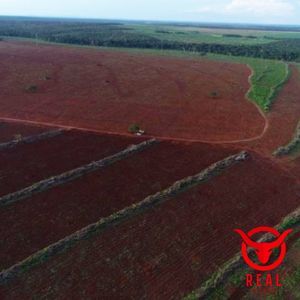 Fazenda à venda no Tocantins