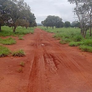 Fazenda de 390 alqueires à venda na região de Porto Nacionql-To