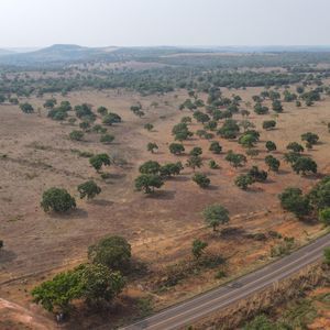 Fazenda à venda em Miranorte-To