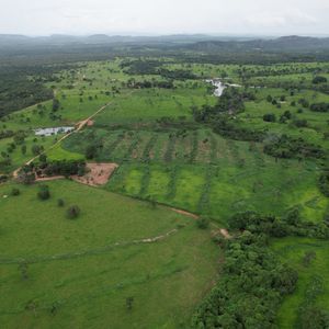 Fazenda para Pecuária de 164 alqueires à venda em Porto Alegre do Tocantins