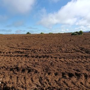 Fazenda à venda em Santa Rita do Tocantins