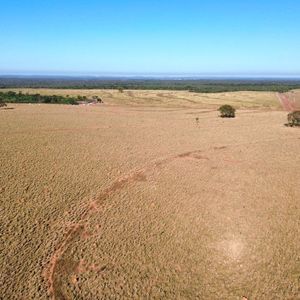 Fazenda de 451 alqueires  à venda em Novo Acordo-To