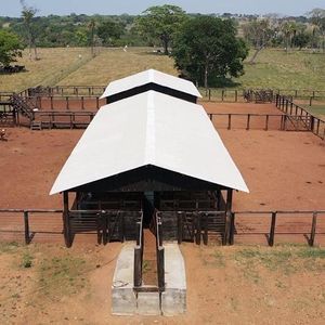 Fazenda para Pecuária à venda no Tocantins