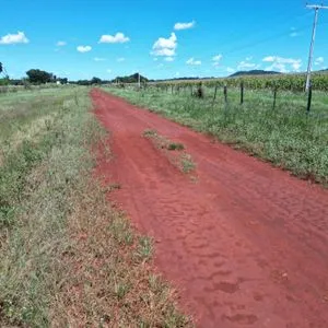 Fazenda extra  de 170 alqueires em lavoura no Tocantins