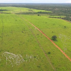 Fazenda à venda em Lizarda-To