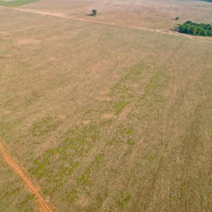 Fazenda Agrícola à venda em Guarai-To