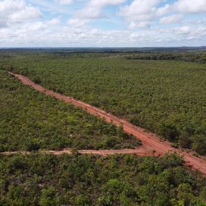 Ótima Fazenda em Palmeirante-To