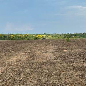 Fazenda agrícola a venda em Palmeirante-To