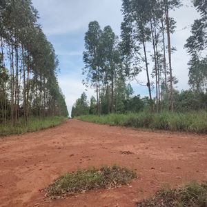 Fazenda à venda em Barra do Ouro-To