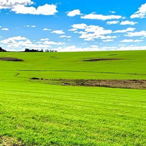 380 hectares - pagamento em soja.