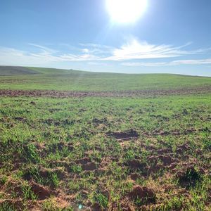 Área a venda para soja em Alegrete