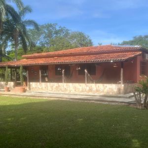 miniatura 19