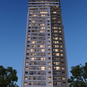 miniatura 24