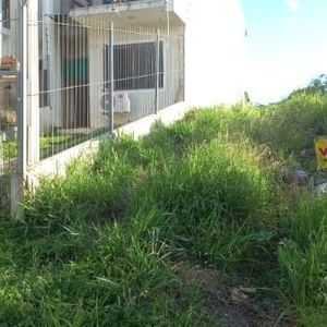 Imagem do imóvel 274934-MI