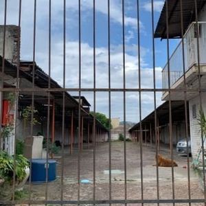 Imagem do imóvel 275699-MI
