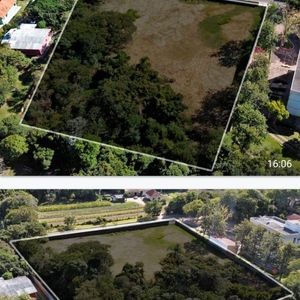 Imagem do imóvel 445568-LU