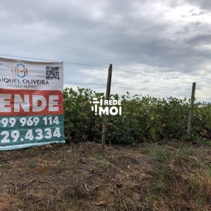 foto2  soja