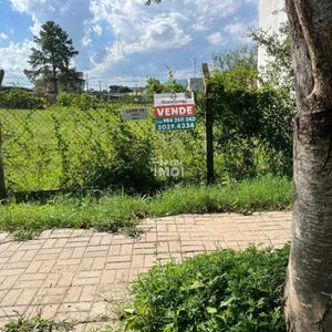 Lote 19