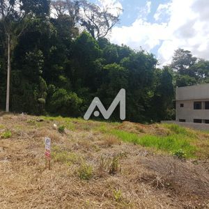 Terreno no bairro Montanha em Lajeado para Comprar