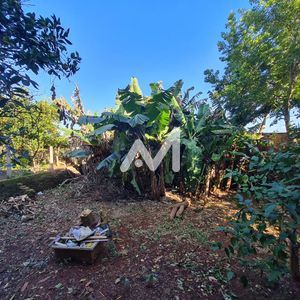 Terreno no bairro Montanha em Lajeado para Comprar