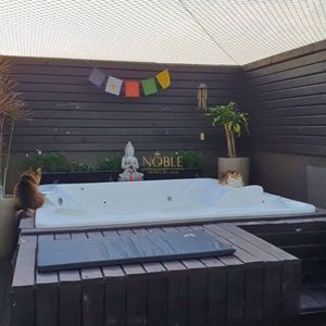 Casa, 3 dormitórios, 2 suítes, 2 vagas no bairro Loteamento Caravelle em Passo de Torres para Comprar