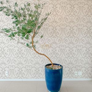 Casa de Condomínio, 4 dormitórios, 4 suítes, 2 vagas no Ocean Side em Torres para Comprar