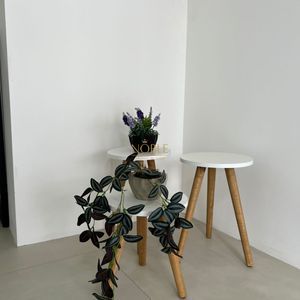 Apartamento com 50m², 1 dormitório, 1 vaga no Vesta em Torres para Comprar