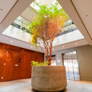 Apartamento com 82m², 1 dormitório, 1 vaga no Nature em Torres para Comprar