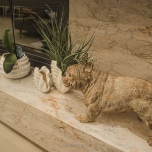 Casa de Condomínio com 200m², 4 dormitórios, 4 suítes, 2 vagas no Ocean Side em Torres para Comprar