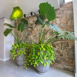 Apartamento com 72m², 2 dormitórios, 1 suíte, 1 vaga no Freedom em Torres para Comprar