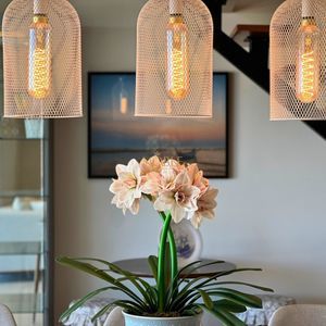 Cobertura com 202m², 3 dormitórios, 1 suíte, 2 vagas no San Andrés em Torres para Comprar