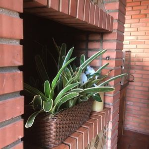 Cobertura com 205m², 3 dormitórios, 1 suíte, 1 vaga no Ilha do Sol em Torres para Comprar