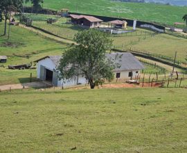 chacara-araucaria-imagem