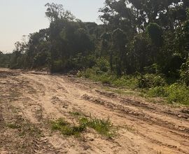 terreno-matinhos-imagem
