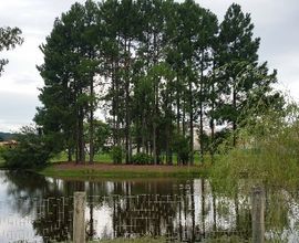 terreno-porto-alegre-imagem