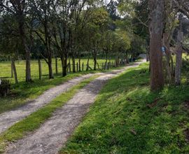 sitio-urubici-imagem