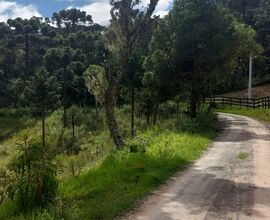 terreno-urubici-imagem