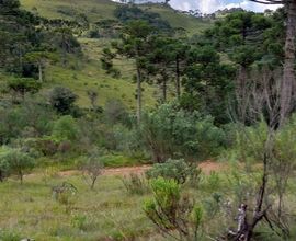 terreno-sao-joaquim-imagem