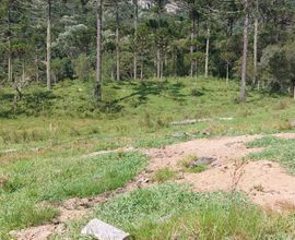 terreno-urubici-imagem