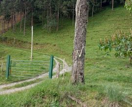 terreno-urubici-imagem