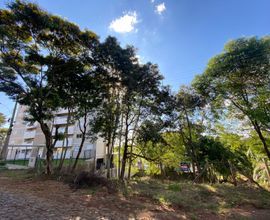 terreno-carazinho-imagem