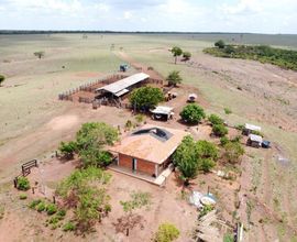 fazenda-cacoal-imagem