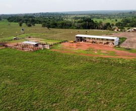 fazenda-pimenta-bueno-imagem