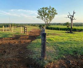 sitio-cacoal-imagem